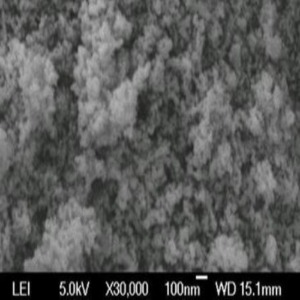 Nickel Oxide Nanoparticles Nanopowder ( NiO, 99.5%, 50nm)
