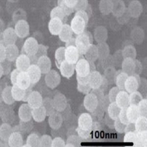Silicon Oxide Nanoparticles  Nanopowder modified with double layer