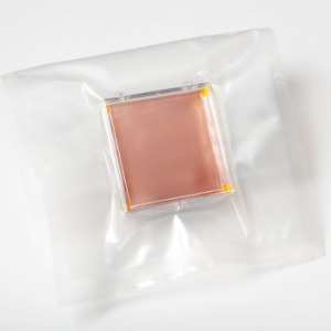 Monolayer graphene on copper foil 6” x 6” (150 mm x 150 mm)